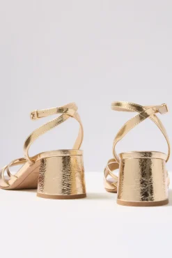 Shoes<DOLCE VITA Blakly Heel Gold