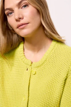 Sweaters<SPLENDID DRE CARDIGAN Chartruese