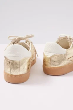 Shoes<DOLCE VITA Notice Sneaker Golddistressed