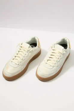 Shoes<P448 Vert 2 Sneaker Gold/Tahiti