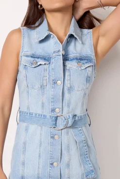 Dresses<RAILS Wilshire Denim Dress Bluedream